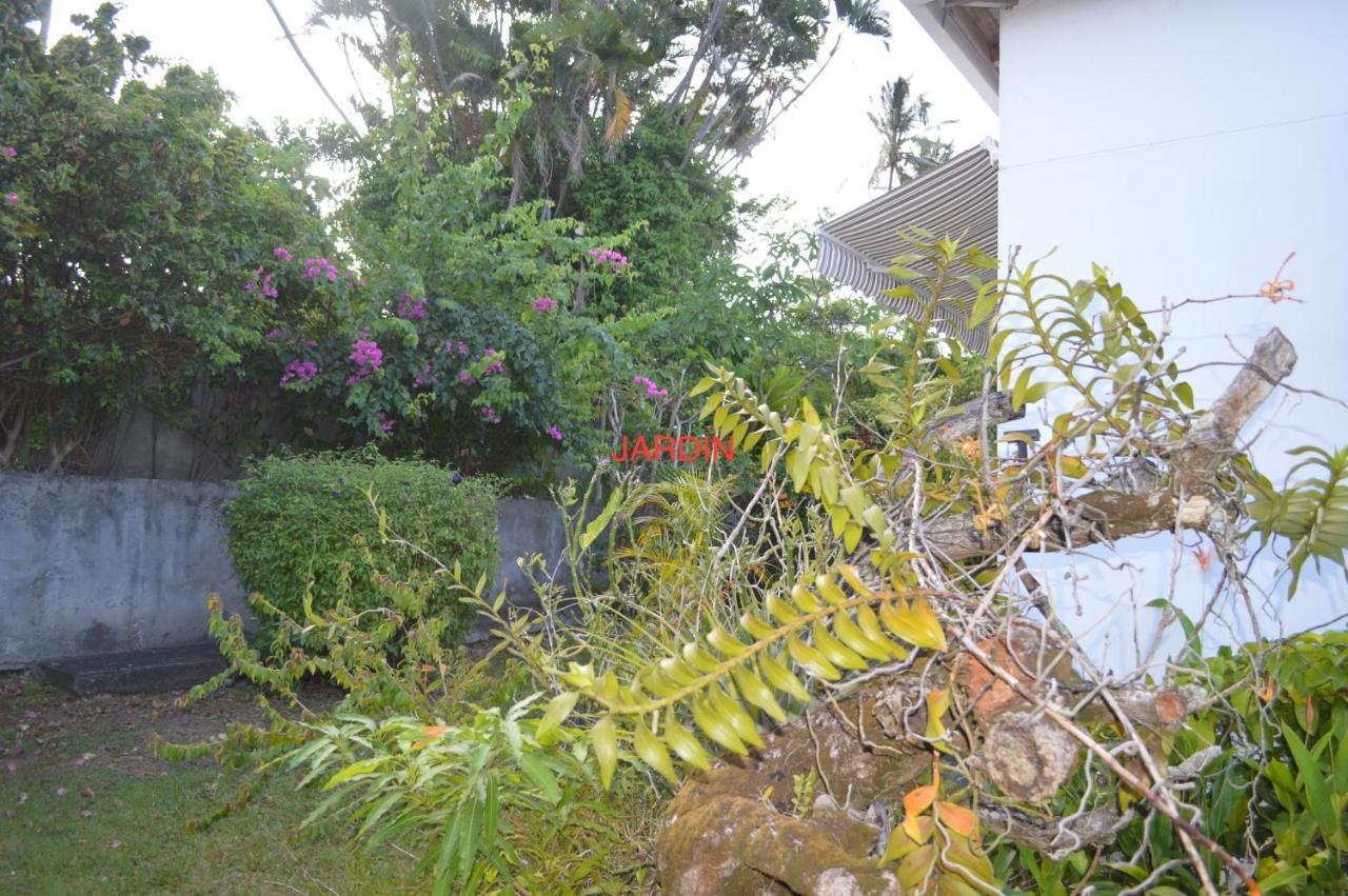 Maison Petit Paradis Basse-Terre Exteriör bild